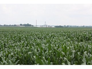 Property photo 6 - 69.3 +/- Acres offered in 2 Tracts